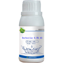 Extracto de planta de clorhidrato de berberina